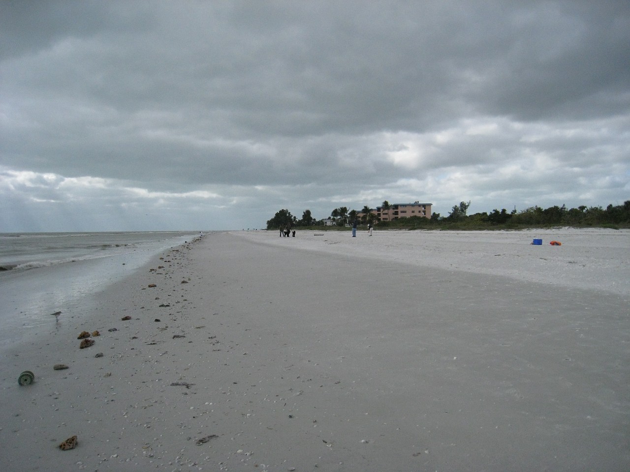 Vacation 2007-12 - Sanibel Island 0022.jpg - Our vacation for 2007-08 to Florida included a side trip to Sanibel Island. The main attraction here is "shelling", known as "The Sanibel Stoop" named for people bending over to pick up shells. It was a cold and blustery day at best!